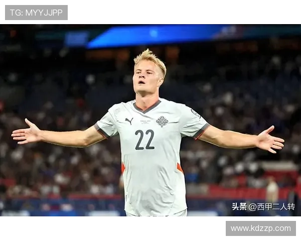 冰岛足球明星的崛起与成就探秘他们如何改变了国家的足球历史