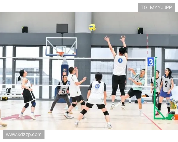 北京排球队的节奏与魅力探秘：排球运动的热情与团队精神